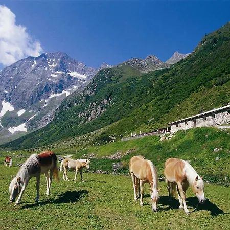 Haus Bergkranz Appartamento *