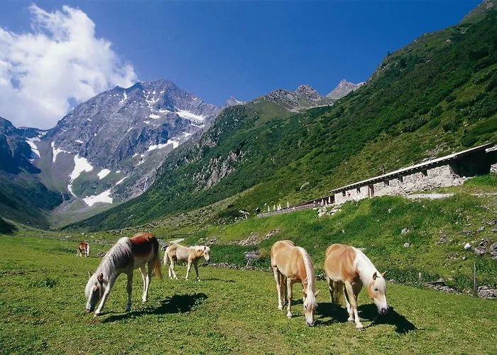Haus Bergkranz Appartement *
